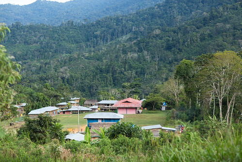 trees infrastructure landscape livelihoods forests communityforestry tropicalforests rainforests climatechange house satipupruwinsya junín peru pe