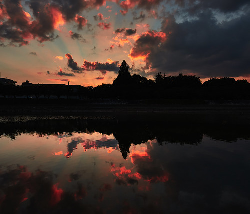 eos5dmarkⅳ tse17mmf4l hiroshima river sunset reflection