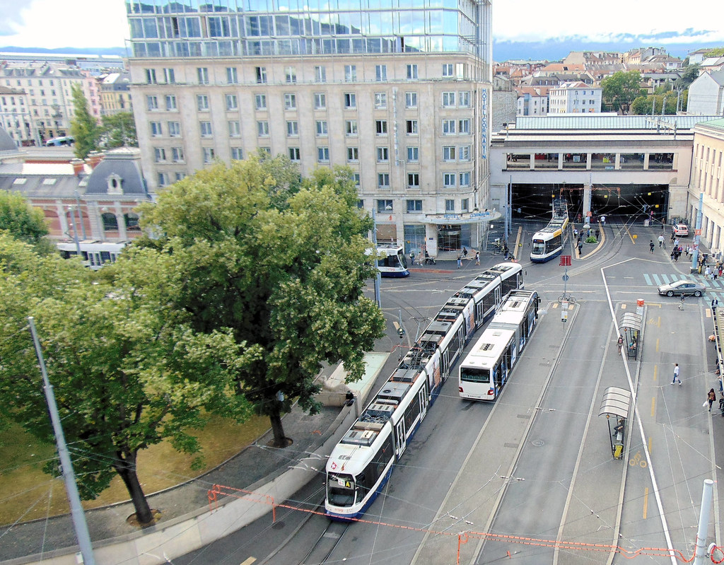 Three TPG trams (and a bus)