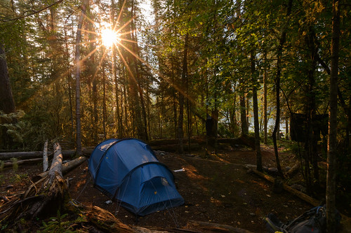 bowman lake bowmanlake campsite tent campground nature flare forest earlymorning landscape irix glaciernationalpark travel outdoor hiking backcountry sunrise d800 hss