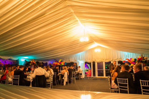 Picture courtesy of our Client Marlborough Events