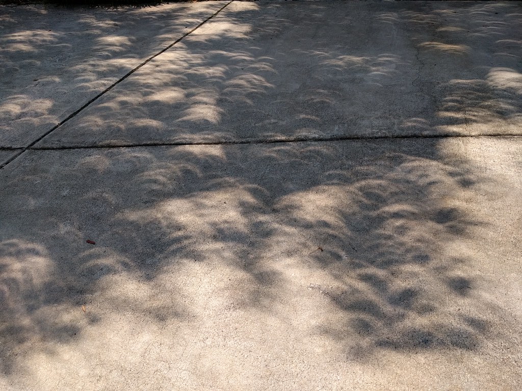North Leesville, Raleigh — Eclipse shadows — MarkDoliner (Flickr, CC BY-SA 2.0)