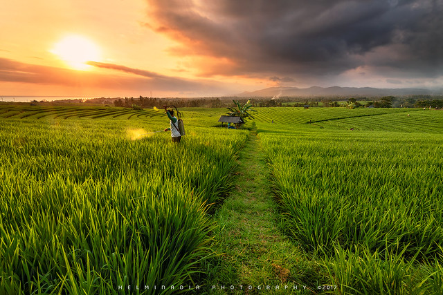 Sunset at Soka-Bali