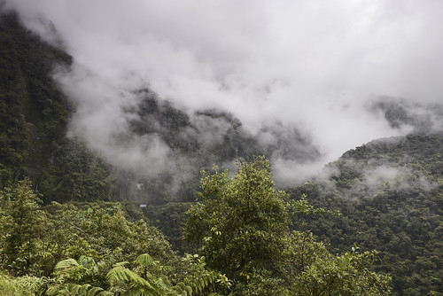 mist forest rain rainforest landscape jungle landschaft road yungas deathroad traffic clouds scenic beauty epic bilvia bolivia southamerica andes mountains coroico