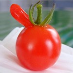 Deformed cherry tomato