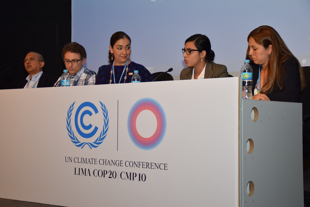 COP 20 Side Event in Lima, Peru, 5 December 2014: "REDD+ Emerging? What we can learn from subnational initiatives"