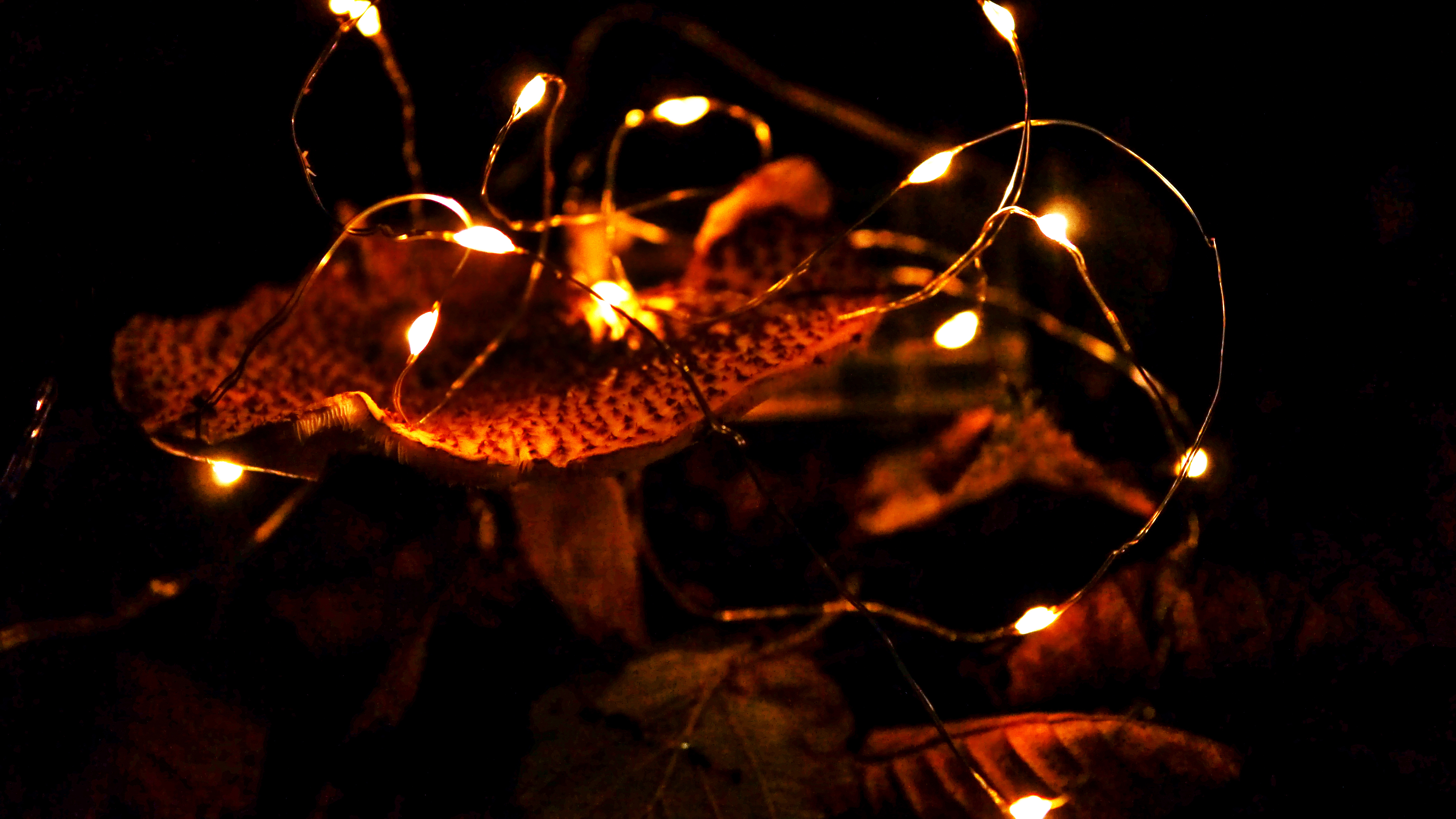 Hekaté: Pani mágie – Od zapadnutých bohýň k moderným praktikám