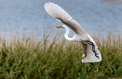 Lift Off | by janecumming33