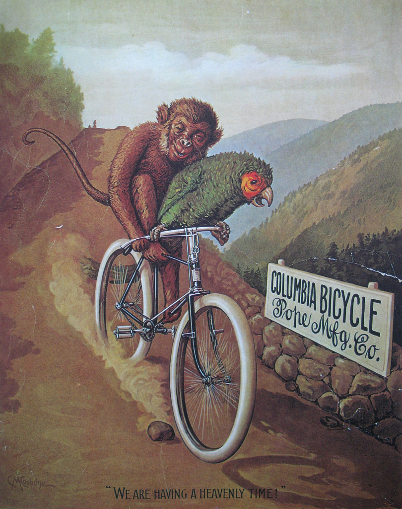 Some vintage and recent bicycle posters.