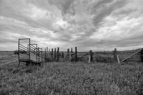 fence fencefridays hff blackandwhite corral ranch cameronranch