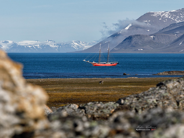 Noorderlicht seen from Akseløya, Svalbard
