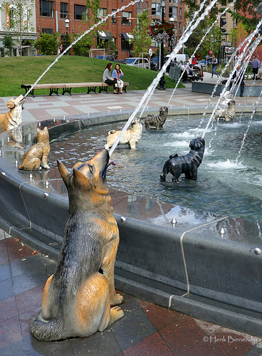 Canada: Toronto dog fountain | Berzcy Park, near St ...