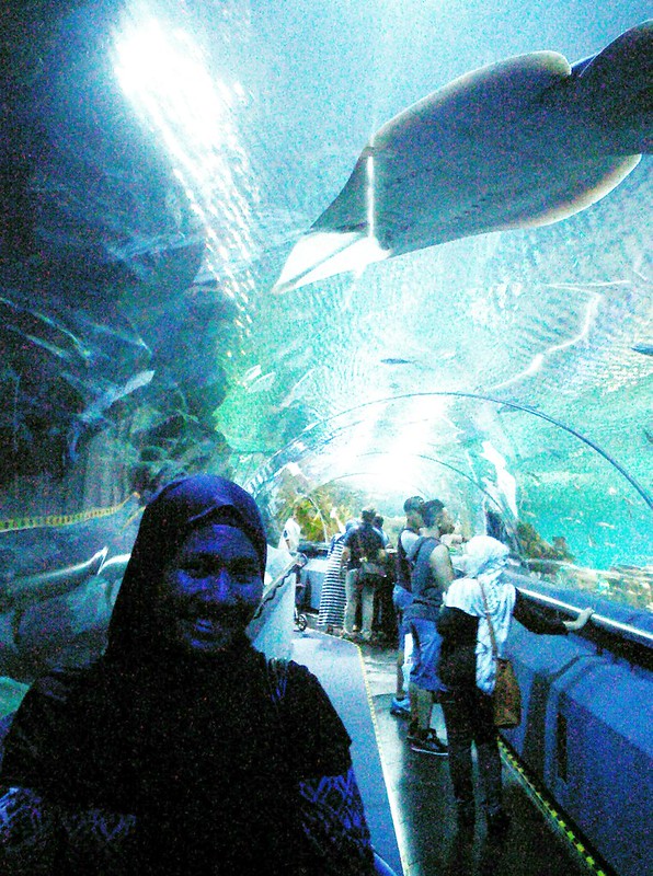 Hijab Morfosa dan Aquarium