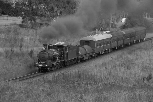 () 3265 on Steamfest run from Maitland to Paterson through Maitland Vale on 18/4/2010.