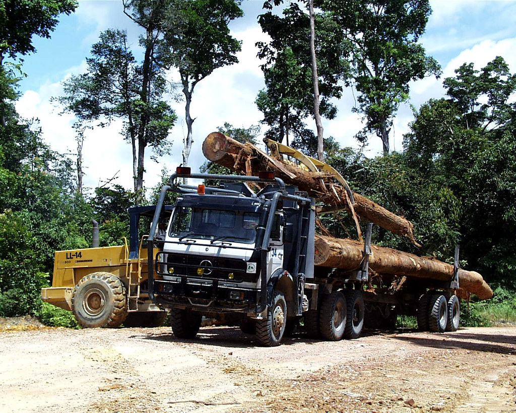 Log loader loading logs on to a truck, Indonesia.