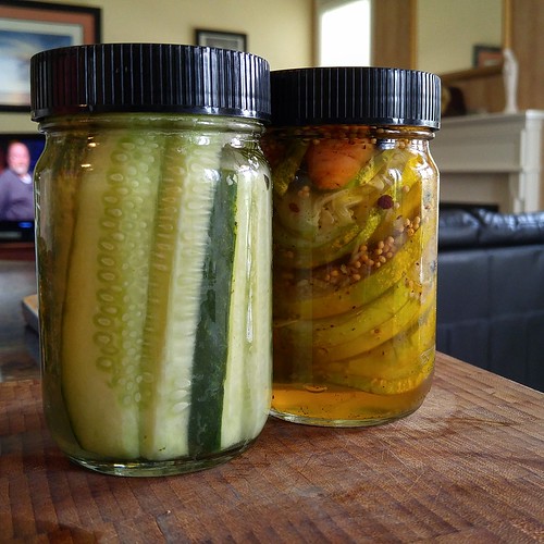 classic garlic dills bb bread butter cucumbers chili peppers brine pickling canning jars cukes gardening vegetables preserving recipe vinegar garlicky dill herbs