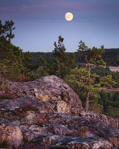 moon rise landscape nature sky clear sunset rock hill tree forest rural field archipelago moody