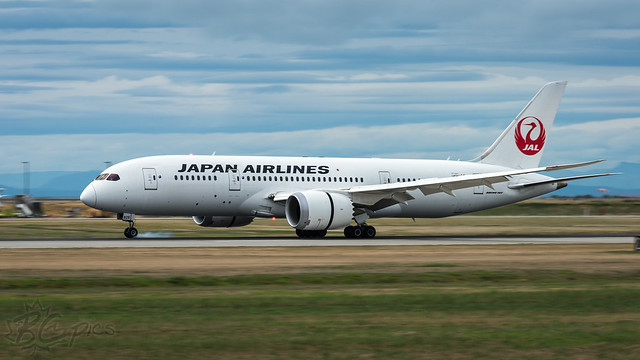JA826J - Japan Airlines - JAL - Boeing 787-8 Dreamliner
