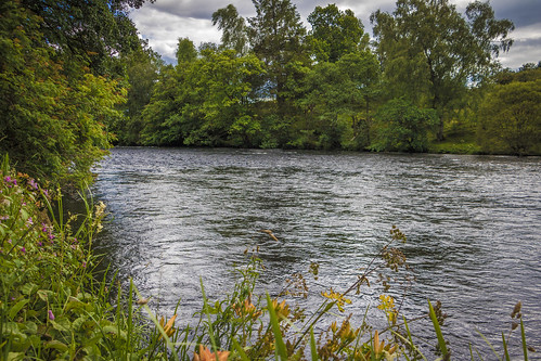 callander scotland nature river teith banks