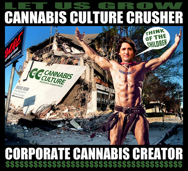 Trudeau Fuddle Ducks Marijuana Legalization