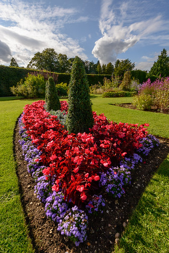 nikond800 yorkshire eastyorkshire pocklington burnbyhallgardens gardens flowers colourful colorful vibrant horticulture horticultural flowerbeds