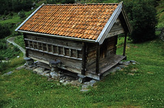 Norwegen 1998 (158) Otternes