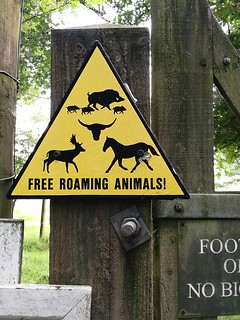 'Free roaming animals'. You are about to enter the happy (e)state.