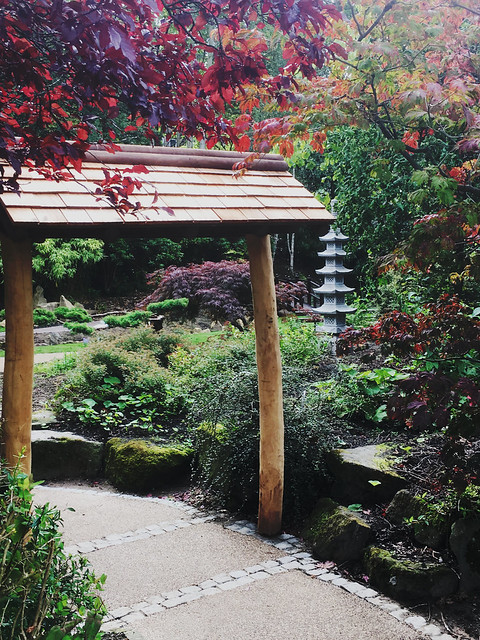 Japanese Garden, Valley Gardens, Harrogate (iPhone 6s)