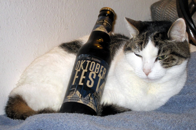 Beer cat -[ Happy Caturday ]-