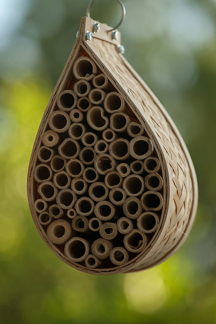 Our New Bee House.