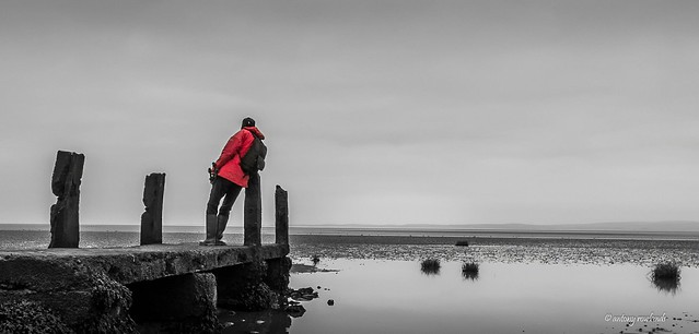 Contemplation, Hest Bank Jetty