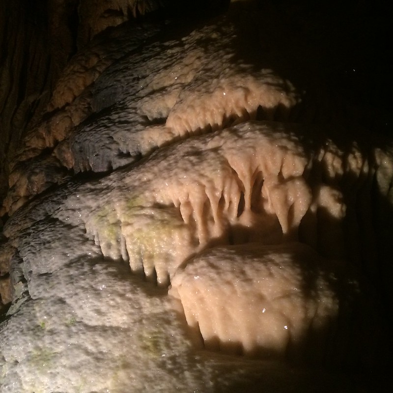 Grotte d'Osselle #FrancheComte #grotte #grotto #cave #stalagmite #stalactite #prehistory #visit #travel