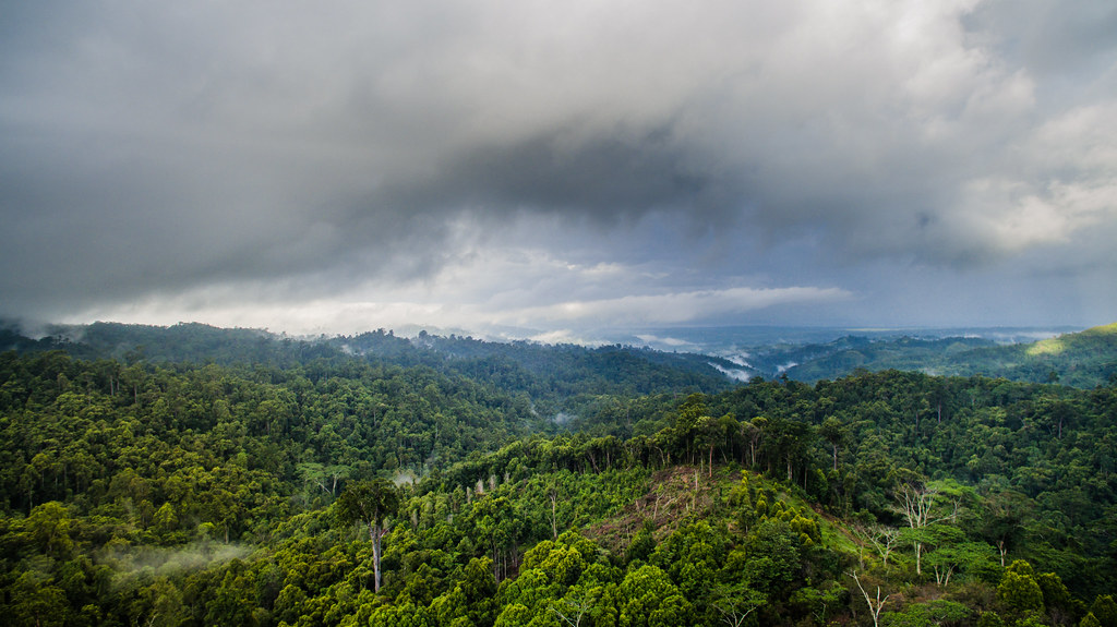 View of forests near Honitetu village. West Seram Regency, Maluku, 23 August 2017.