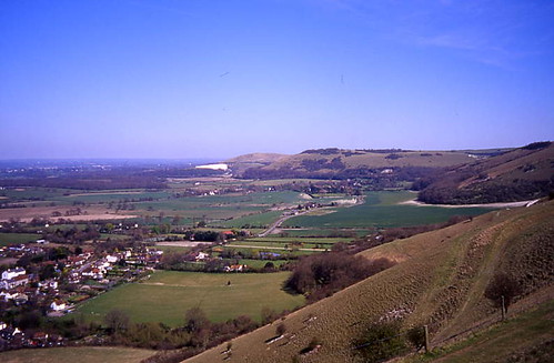 Ridge View 5 
