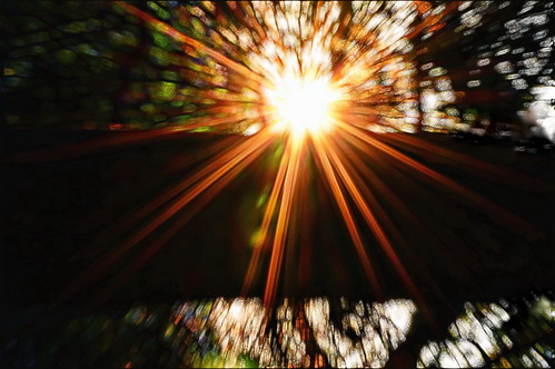 slidersunday happyslidersunday starburst trees sunset nikond3200 55300mmlens pixelexplosion abstract
