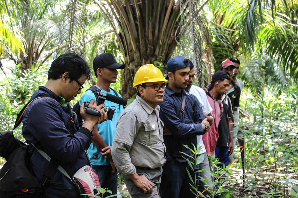 CIFOR scientists and University of Riau professors and students watch as a Rod Surface Elevation Table (RSET) is installed to...