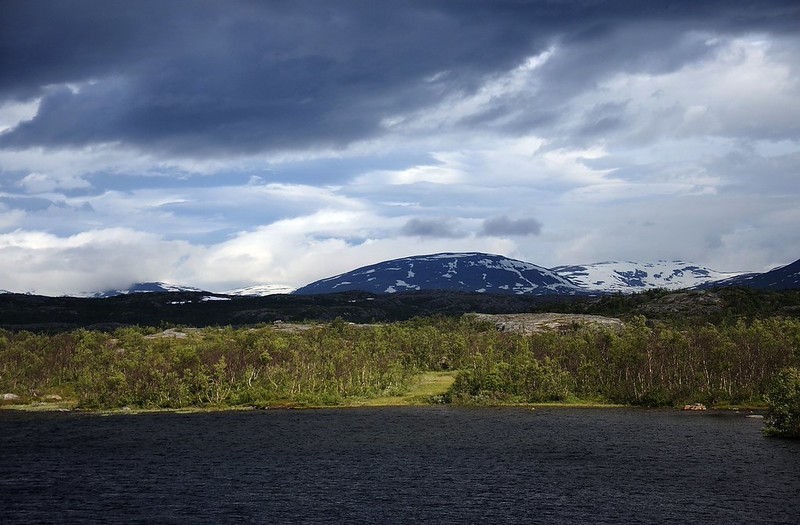 20160701-005P | Abisko, Landschaft am Báktájávri (Pahtajaure). Lappland / Schweden, 01.07.2016