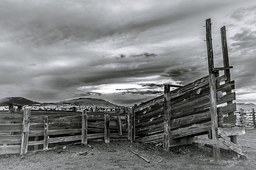 arizona ranching chute west rustic cowboy springerville