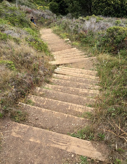 Stairs to Black Sands Beach