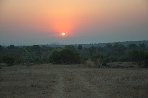 travel sunset sun nature landscape southafrica nikon wildlife safari nikkor gamereserve d90 sabisands inyati nikond90 sabisandsgamereserve inyatilodge 18105mmf3556gedafsvrdx