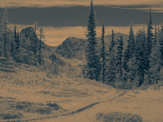Heather Pass in Infrared