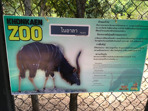 ขอนแก่น สวนสัตว์ esarn isaan khonkaen thailand zoo