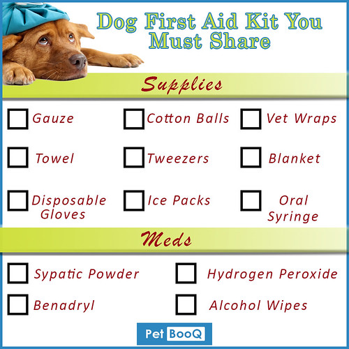 Dog First Aid Kit | by petbooq