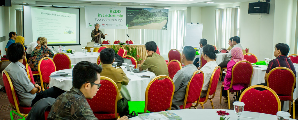 Moira Moeliono, CIFOR scientist, speaking during the REDD+ in Indonesia workshop. Jakarta, 19 September 2017.