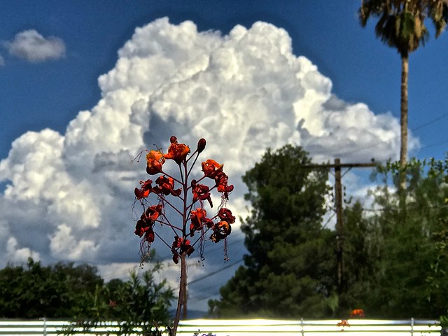 Afternoon Thunderhead Cloud Formation-4