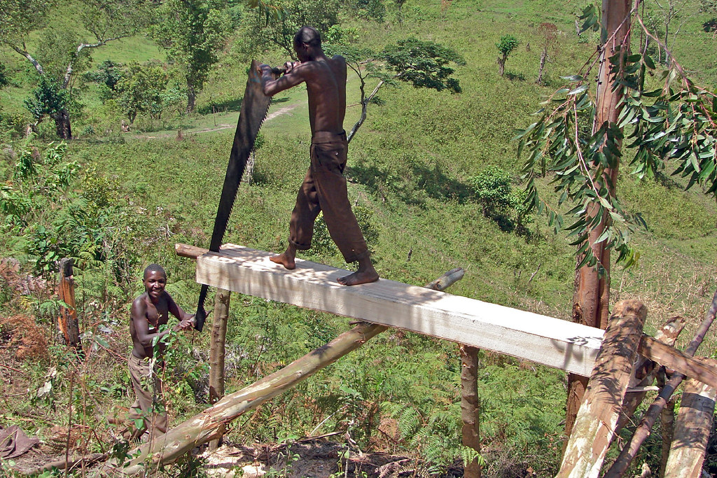Men sawing wood into planks in Uganda.