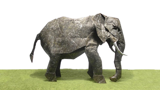 African Elephant - Shuki Kato