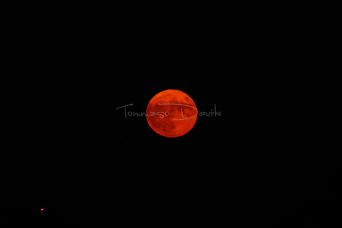 Red moon. | by Tommaso Davite
