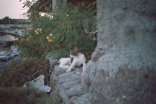 20170906-scan0032-2 | by yabankazi