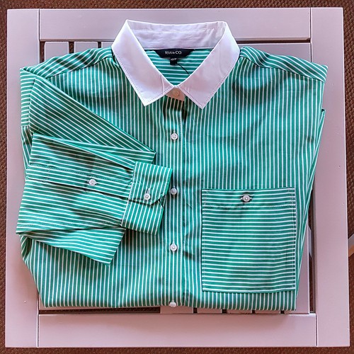 RW and Co Green Striped Poplin Shirt | anhistorianabouttown | Flickr